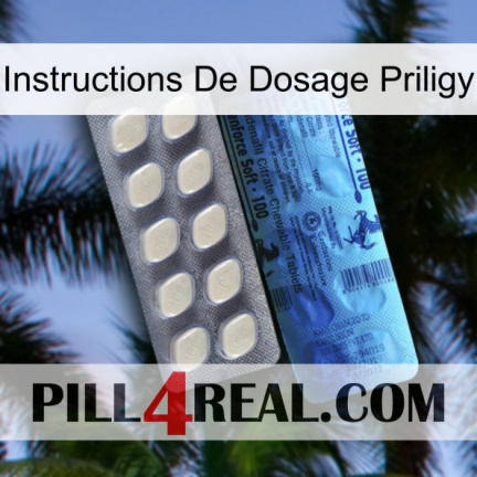Priligy Dosage Instructions 34